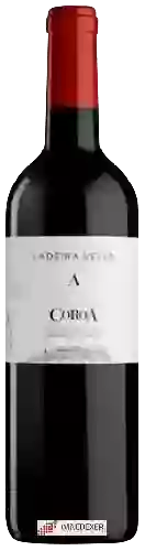 Wijnmakerij A Coroa - Ladeira Vella