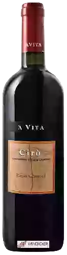 Wijnmakerij 'A Vita - Cirò Rosso Classico