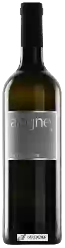 Wijnmakerij Aagne - Sauvignon Blanc
