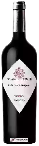 Wijnmakerij Achaval-Ferrer - Cabernet Sauvignon