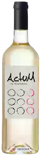 Wijnmakerij Actum - Sauvignon Blanc