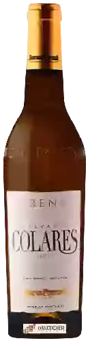 Wijnmakerij Adega Regional de Colares - Arenae  Malvasia