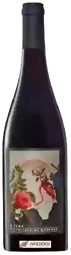 Wijnmakerij Abadia da Cova - A Fuga Tinto