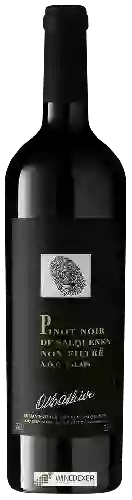 Wijnmakerij Adrian et Diego Mathier - Pinot Noir de Salquenen Non Filtré
