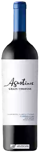 Wijnmakerij Agustinos - Gran Terroir Carmenère