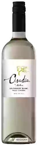Wijnmakerij Agustinos - Osadia Sauvignon Blanc