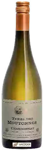 Wijnmakerij Alma Cersius - Terre des Moutonnes Chardonnay