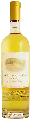 Wijnmakerij Altamura - Sauvignon Blanc