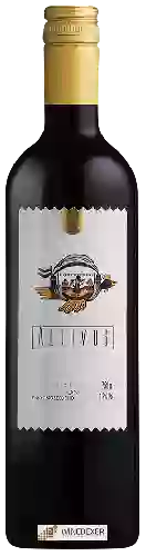 Wijnmakerij Altivos - Cabernet Sauvignon