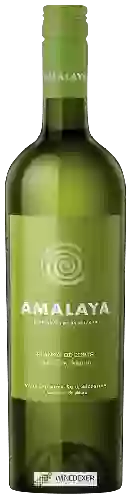 Wijnmakerij Amalaya - Blanco (Riesling - Torrontés)
