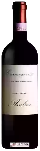 Wijnmakerij Fattoria Ambra - Montefortini Carmignano