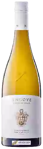 Wijnmakerij Angove - Chardonnay