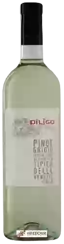Wijnmakerij Anna Spinato - Dīlĭgo Pinot Grigio