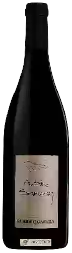 Wijnmakerij Antoine Sanzay - Saumur-Champigny