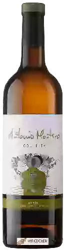 Wijnmakerij Antonio Montero - Colleita