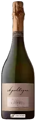 Wijnmakerij Apaltagua - Costero Extra Brut