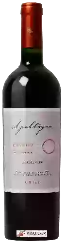 Wijnmakerij Apaltagua - Envero Carmen&egravere Gran Reserva
