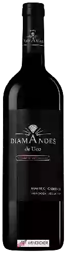 Wijnmakerij DiamAndes - Grande Réserve