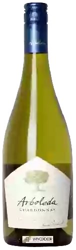 Wijnmakerij Arboleda - Chardonnay