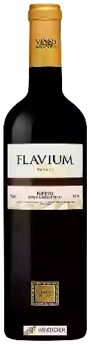 Wijnmakerij Arganza - Bierzo Mencía Premium Flavium