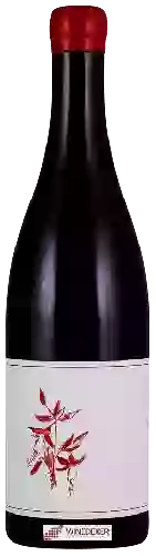 Wijnmakerij Arnot-Roberts - Gamay Noir