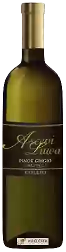 Wijnmakerij Ascevi Luwa - Grappoli Pinot Grigio