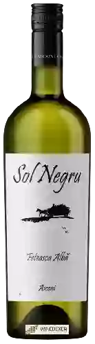 Wijnmakerij Asconi - Sol Negru Feteasca Alba