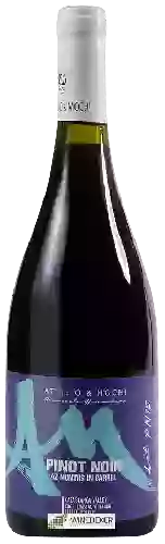 Wijnmakerij Attilio & Mochi - Cool Coastal Vineyard Pinot Noir