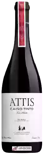 Wijnmakerij Attis - Attis Caíño Tinto