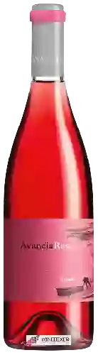 Wijnmakerij Avancia - Mencia Rosé
