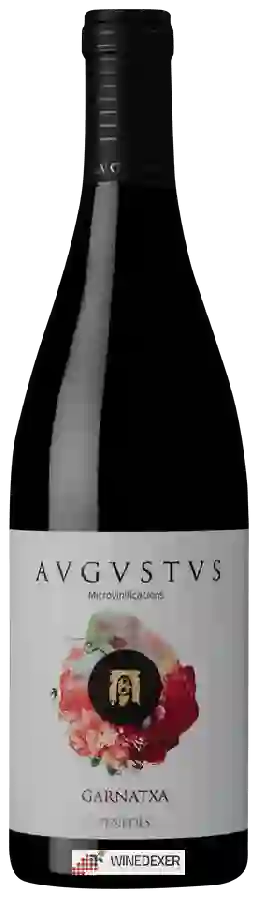 Wijnmakerij Avgvstvs - Garnatxa