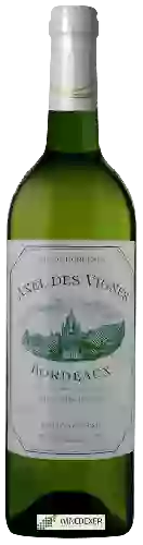 Wijnmakerij Axel des Vignes - Axel des Vignes Bordeaux Blanc Wijnmakerij Axel des Vignes - Axel des Vignes Bordeaux Blanc