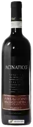 Wijnmakerij Stefano Accordini - Acinatico Amarone della Valpolicella Classico