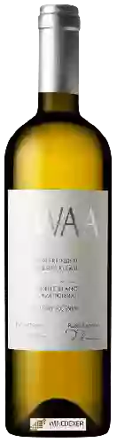 Wijnmakerij Bad Osterfingen - Zwaa Osterfingen Oberhallau Pinot Blanc - Chardonnay