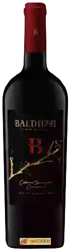 Wijnmakerij Balduzzi - Balduzzi B Cabernet Sauvignon - Carménère Wijnmakerij Balduzzi - Balduzzi B Cabernet Sauvignon - Carménère