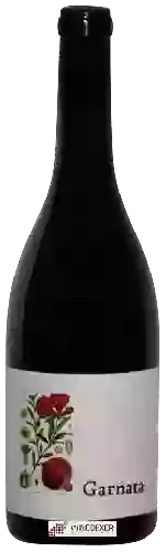 Wijnmakerij Barranco Oscuro - Garnata