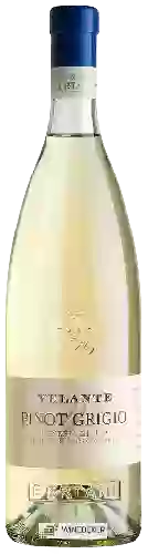 Wijnmakerij Bertani - Velante Pinot Grigio