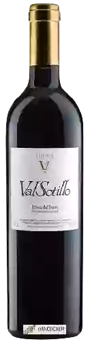 Bodegas Ismael Arroyo - Valsotillo VS Reserva Bodegas Ismael Arroyo - Valsotillo VS Reserva