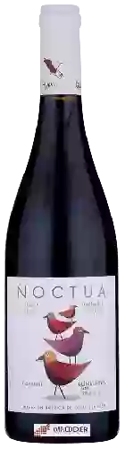 Bodegas Quinta de Aves - Noctua Ensamblaje Bodegas Quinta de Aves - Noctua Ensamblaje