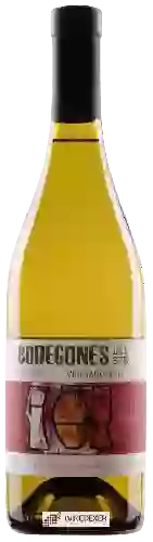 Wijnmakerij Bodegones del Sur - Vineyard Select Viognier