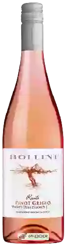 Wijnmakerij Bollini - Pinot Grigio Rosato