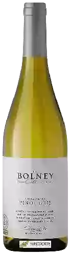 Wijnmakerij Bolney Wine Estate - Foxhole Vineyard Pinot Gris