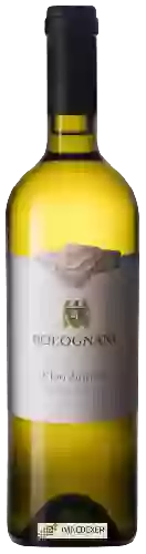 Wijnmakerij Bolognani - Chardonnay Wijnmakerij Bolognani - Chardonnay