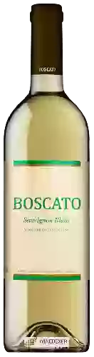 Wijnmakerij Boscato - Sauvignon Blanc
