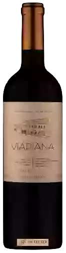 Wijnmakerij Viapiana - Barricas Selecionadas Lote III