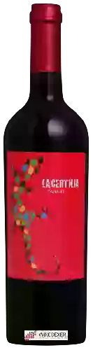 Wijnmakerij Braccobosca - Lacertilia Tannat