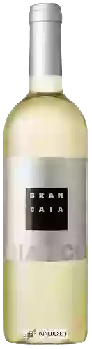 Wijnmakerij Brancaia - IL Bianco
