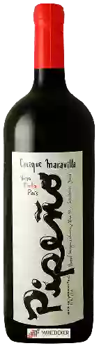 Wijnmakerij Cacique Maravilla - Secano Interior Pipeño