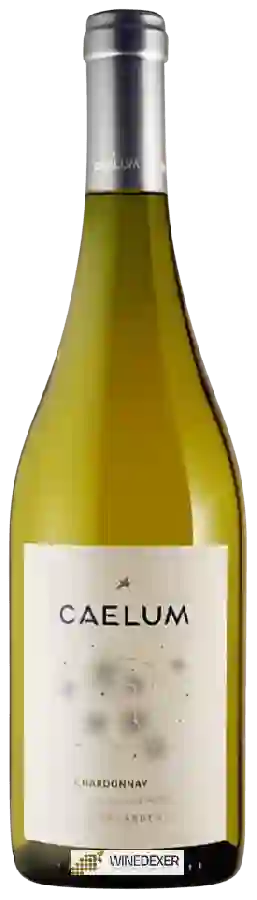 Wijnmakerij Caelum - Chardonnay