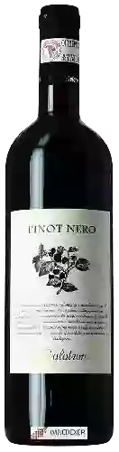 Wijnmakerij Calatroni - Pinot Nero